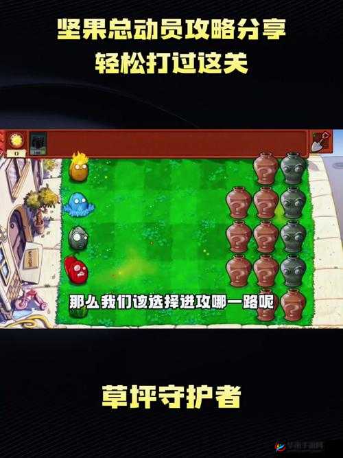 战歌竞技场独特魅力与重重挑战，深度解析玩法与坚果互赠高效攻略