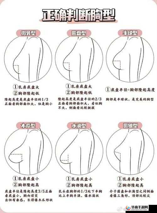 女生胸怎么变大一点：完美胸型不是梦