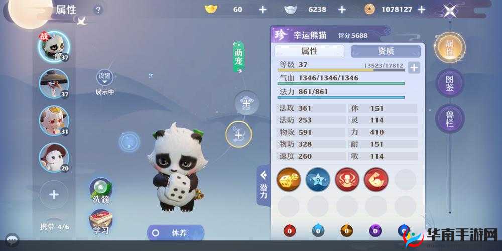 深度解析，梦幻新诛仙中的灵宠幸运熊猫是否值得玩家投入资源进行培养
