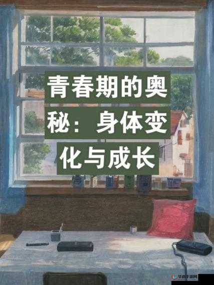 成长的秘免费：探寻成长背后的奥秘