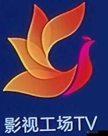 5177TV ：带你领略精彩无限的影视世界