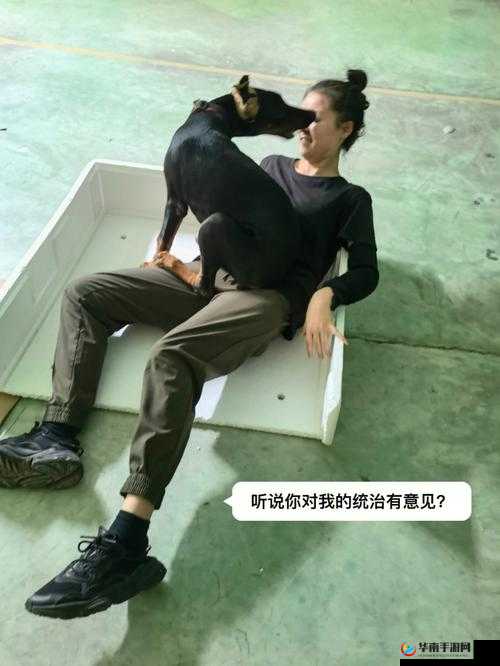 python 人狗大战精彩瞬间：其来源与背景的详细解读