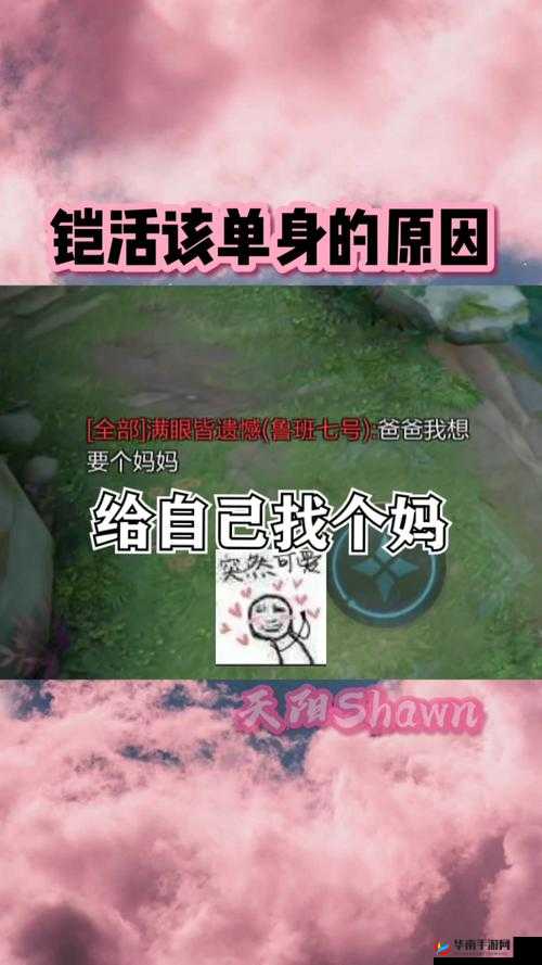 王者荣耀母亲节特别策划，祝福英雄角色与游戏资源管理指南