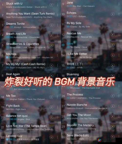 BGMBGMBGM 日本 XX ：带你领略独特的音乐魅力之旅