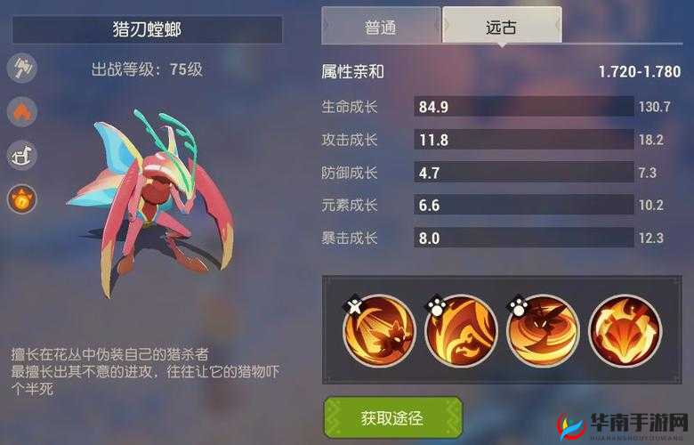 海岛纪元宠物培养全面攻略，掌握资源管理艺术，打造顶级宠物伙伴