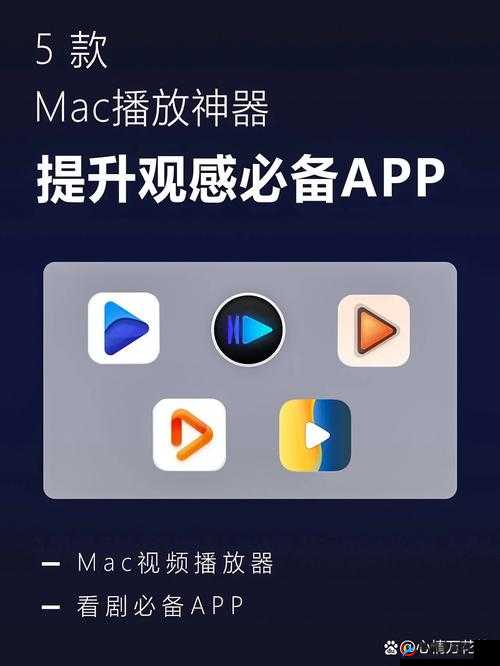 适合年轻人看的播放器：功能强大资源丰富且界面简洁易用