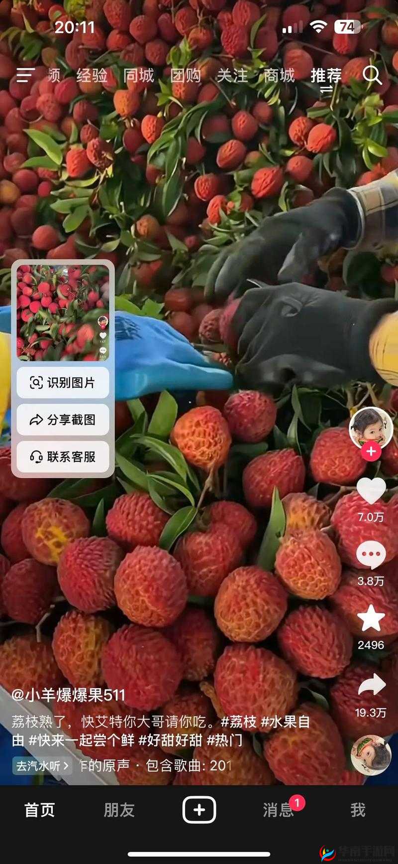 甜甜的荔枝：含糖 BY 荔枝 11H 的甜蜜之旅
