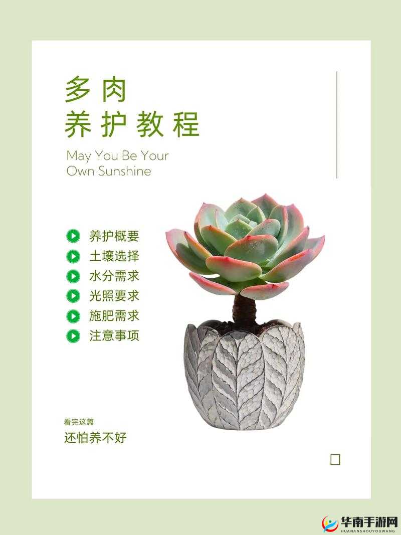 皇家共享小公主多肉的养护技巧：注意光照温度浇水施肥等要点