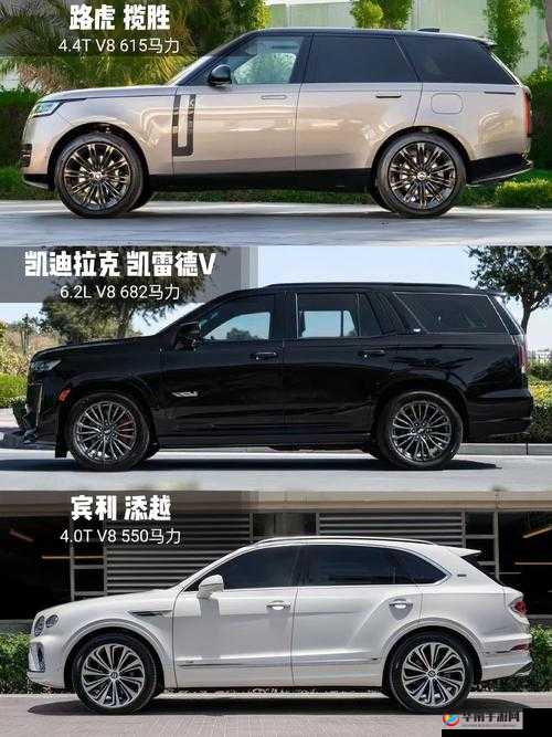 成熟的欧美精品 SUV：演绎豪华与性能的完美结合