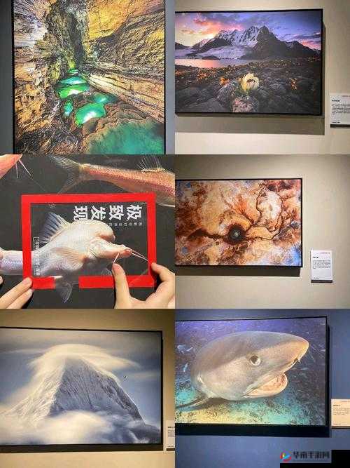 XXXHD 女人的美丽与智慧：探索未知的世界