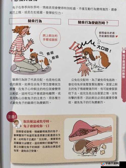 男友为何喜欢吃我的小兔兔：心理分析