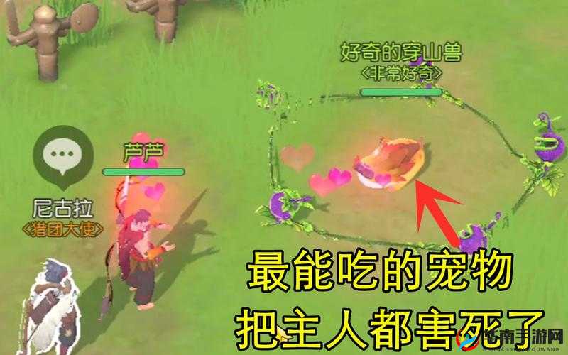 海岛纪元，踏上探索之旅，体验与宠物间的奇妙克制与共生关系