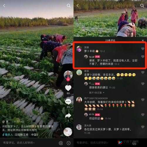 免费拔萝卜直播怎么赚钱：深度解析其盈利模式与途径