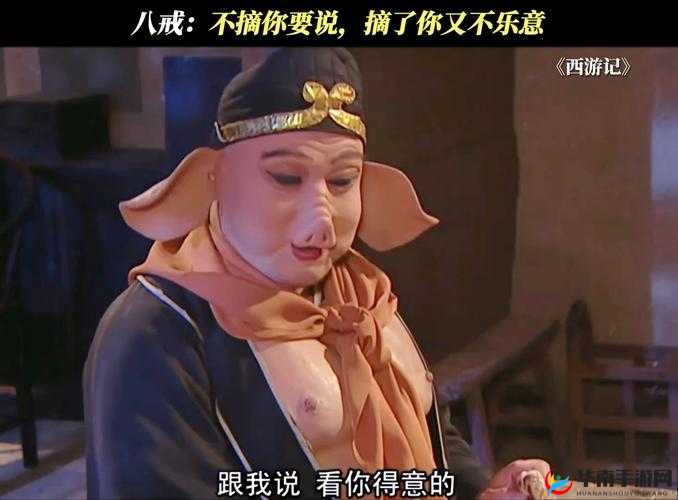 八戒八戒免费观看电视剧大全在线观看：热门剧集一网打尽