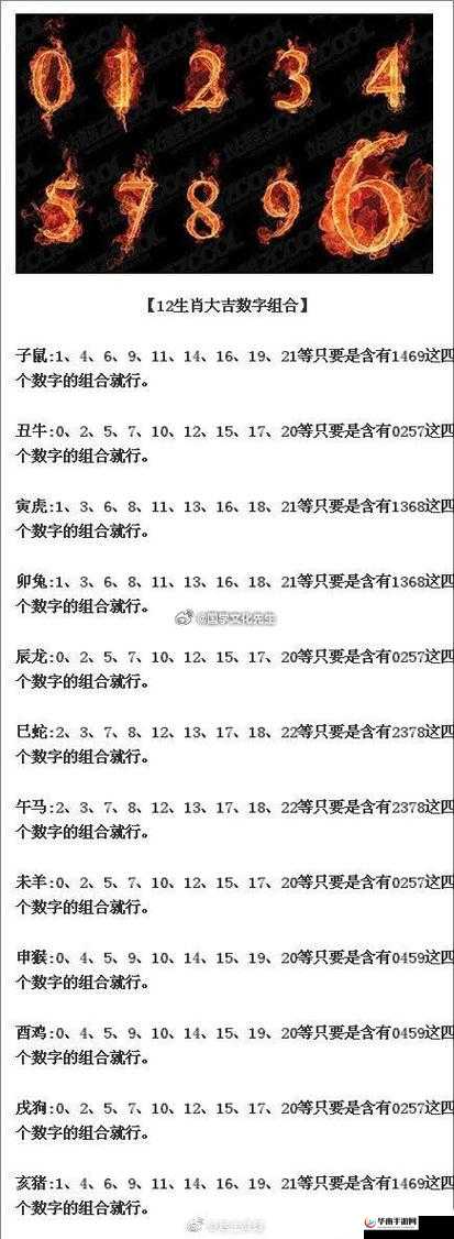 久久1024：一个具有特殊意义的数字组合