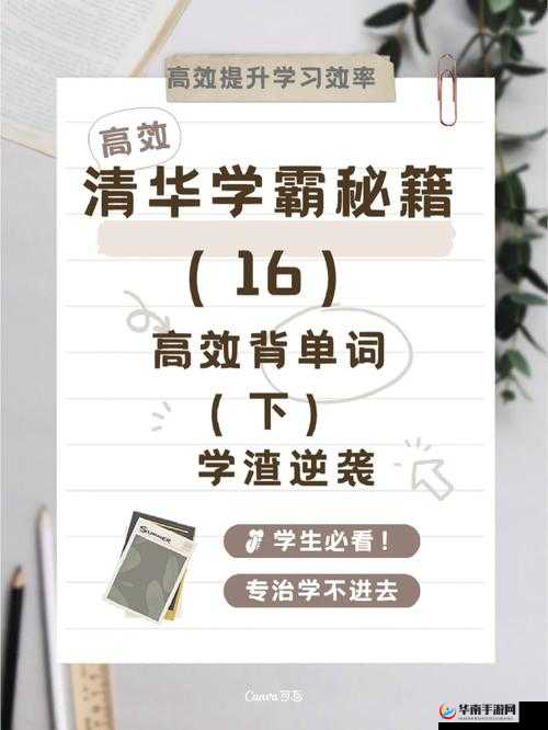 学渣逆袭：坐学霸鸡背单词，打造国产模块
