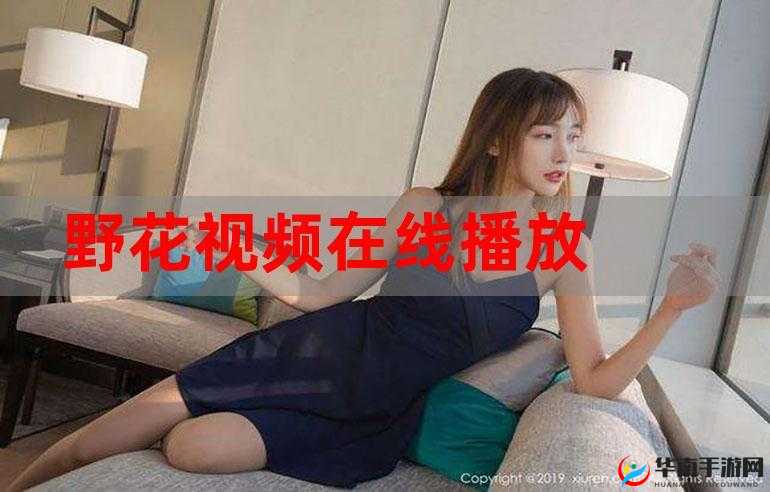 野花直播视频免费高清使用简单：畅享精彩直播新体验
