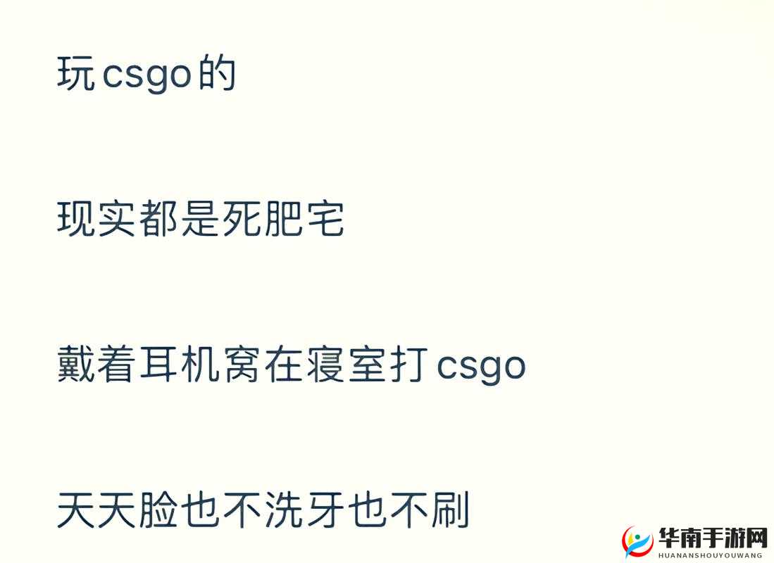 暴躁老阿姨CSGO 剧情解析：深度挖掘游戏背后的故事