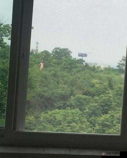 18 禁裸男晨勃露 j 毛免费观看：探索未知的性魅力
