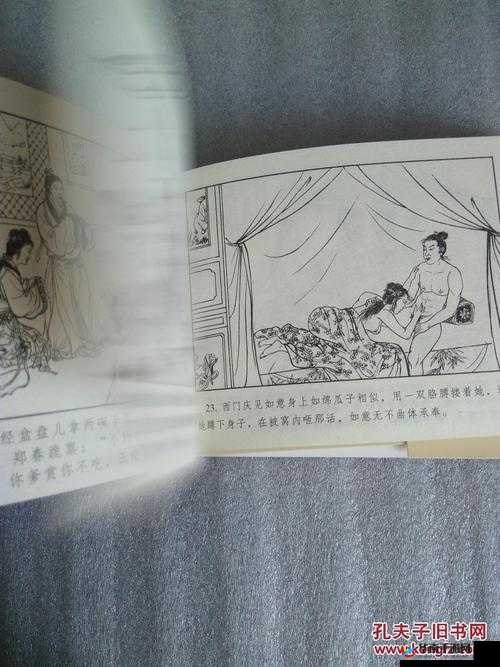 探寻林太太府中逢甘雨原文背后的故事