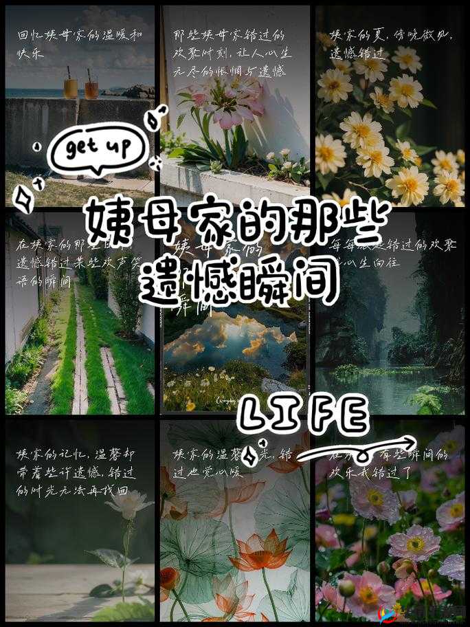 在姨母家的遗憾：那些未能圆满的时光片段