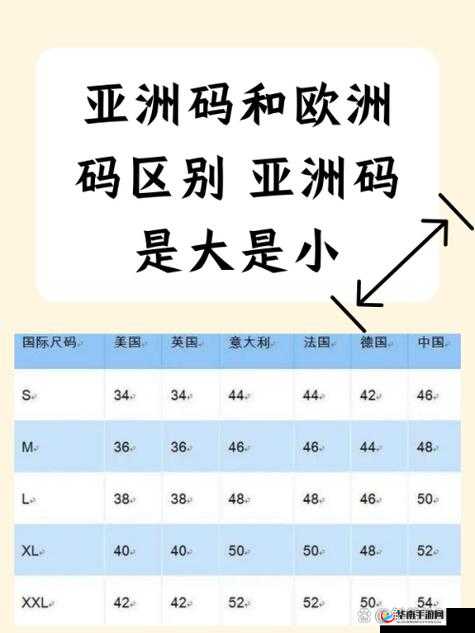 精品欧洲一码二码区别在哪：深入探究其差异所在