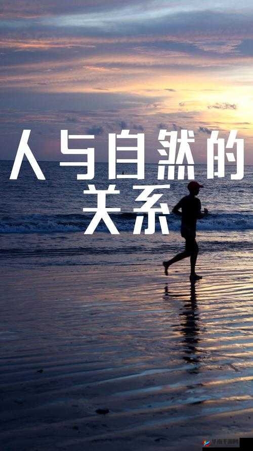畜禽与人：和谐共生共荣 促进生态农业可持续发展