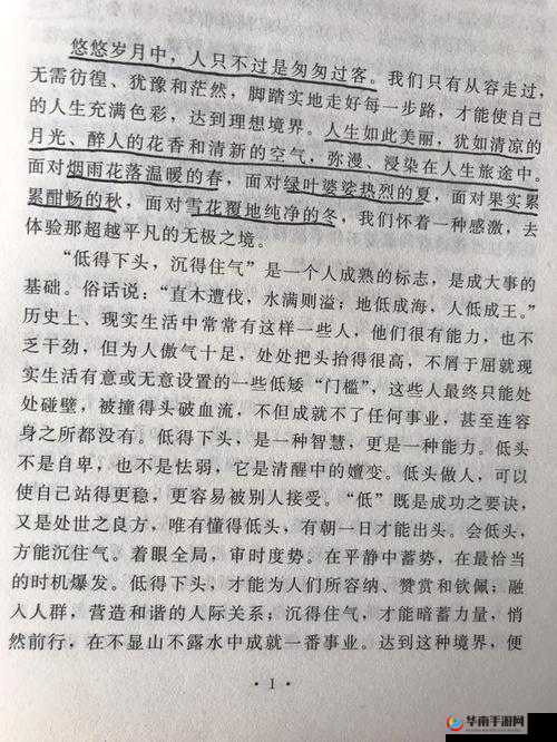 www.久悠悠：探寻那悠悠岁月中的独特魅力