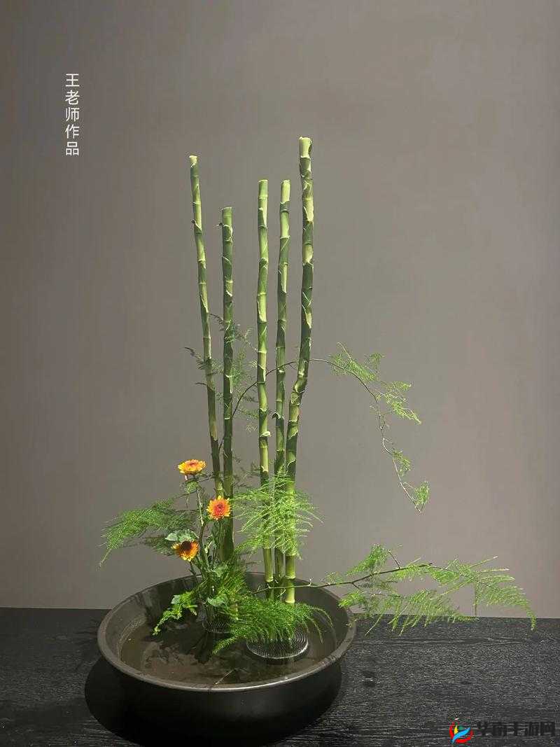 插花弄玉曲径通幽又重新上线了：欢迎大家再次体验
