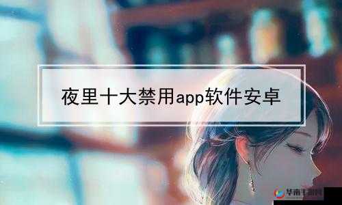 夜里十大禁用 APP 软件安卓：探索其神秘与禁忌之处