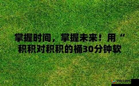 积积积桶积积的桶直接看之详细解析与深入探讨