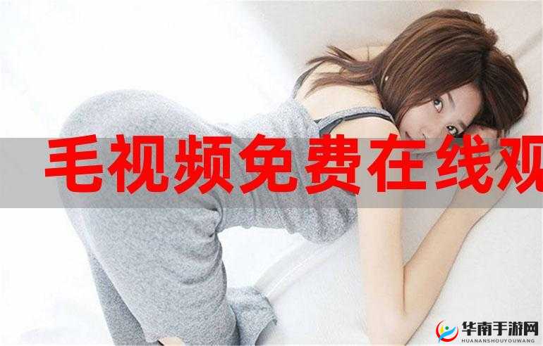 插曲视频在线观看免费版高清：海量资源任你畅享