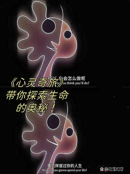 从无到有：简单炼金术的奥秘