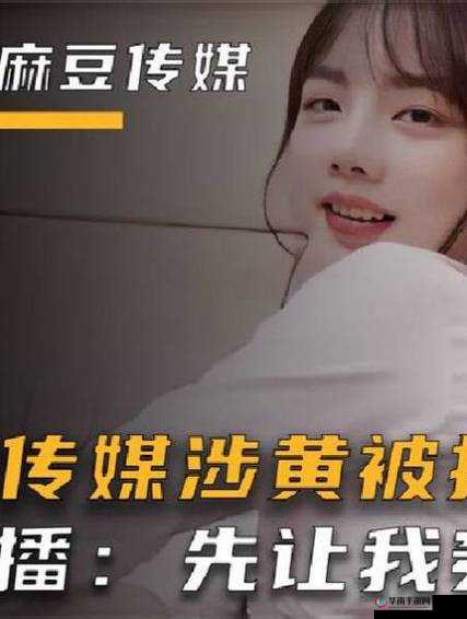 麻花豆传媒剧国产 MV 发展前景广阔可期