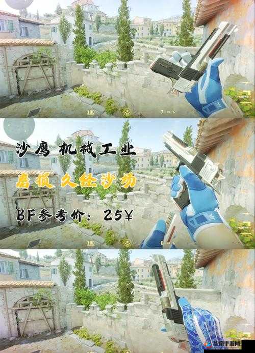 激昂暴躁老姐的 CSGO 心得分享视频：带你领略枪林弹雨的精彩世界