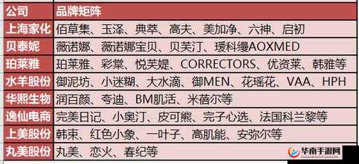成品网源码 78w78 的特点分析-以用户需求为导向