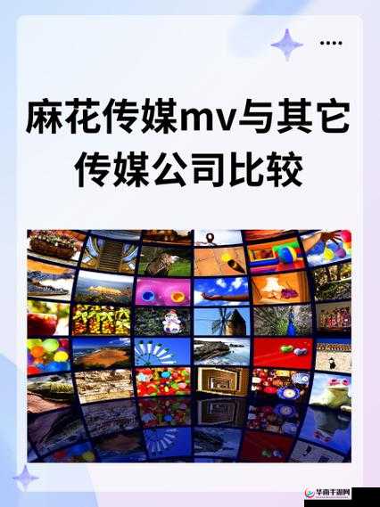 麻花传媒 CEO 引领行业发展新态势