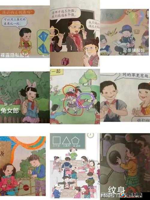 12 岁隐私：究竟能放几支笔的秘密探讨