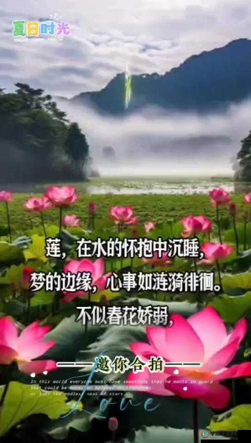女子半夜莲花开：神秘现象引发的探索之旅