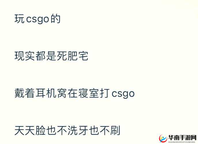 暴躁老阿姨 CSGO 剧情解析之全面细致深入解读与探讨