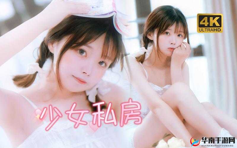 探索少女视频哔哩哔哩免费获取方式详细解析及途径