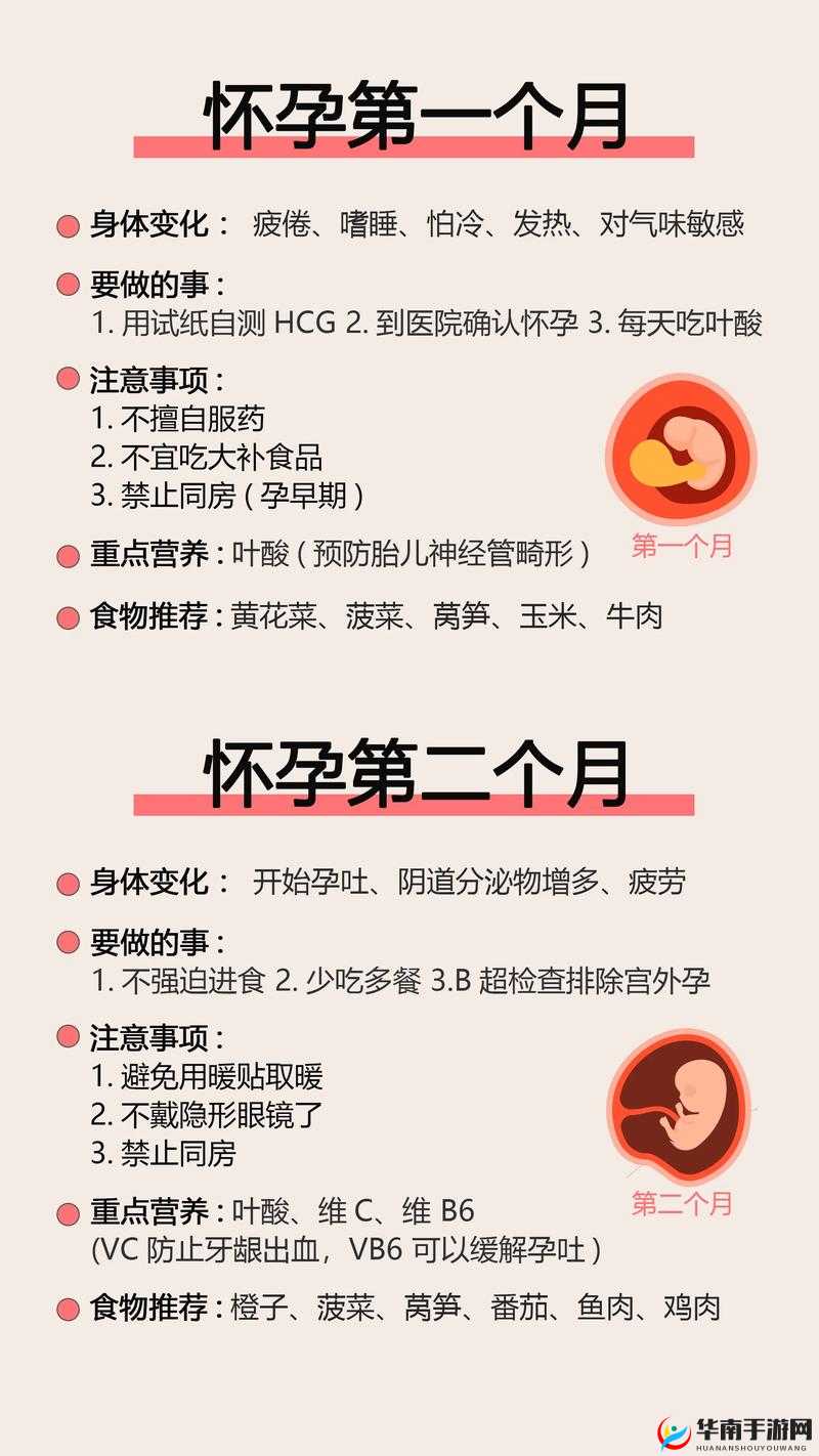 如何让母亲成功怀孕的有效方法与注意事项