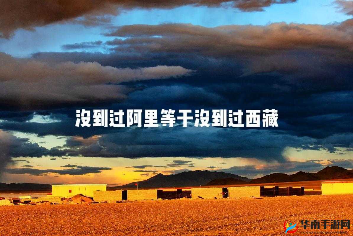 必看无人区一码二码三码：探寻其中的奥秘与精彩之处
