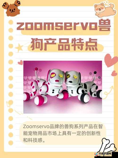 兽王ZOOMSERVO 兽狗产品优势：性能卓越品质可靠引领行业潮流