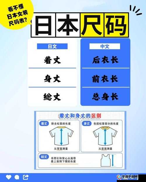 日本 L 码和中国码的区别：尺寸标准与文化差异解析