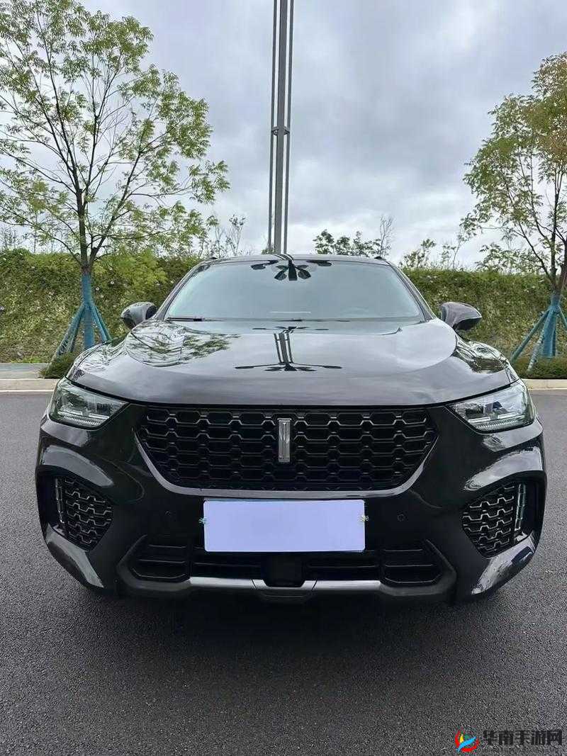 wey vv5 国产 SUV 最新视频评测：全方位解析性能与亮点