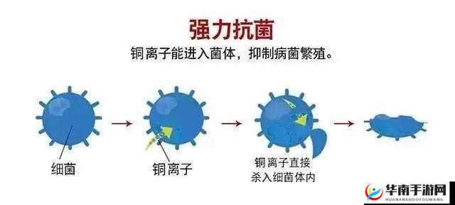 铜铜铜铜铜铜铜铜好大好深板动且无病毒的独特魅力解读