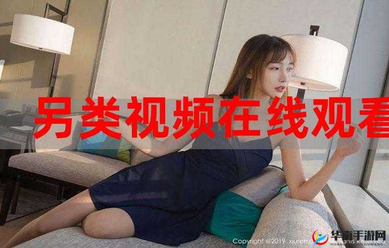 欧美、日韩、国产、另类影视资源的风格特色与差异解析