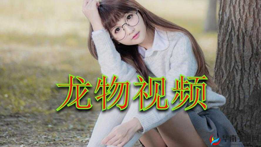 yw193 龙物视频入口：畅享精彩独特的视频资源