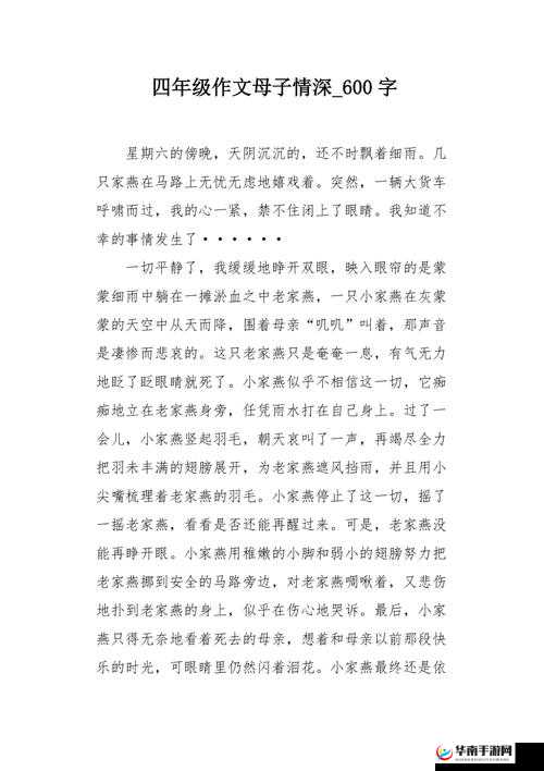 儿子耕种母亲的田：讲述母子间独特的土地情怀故事